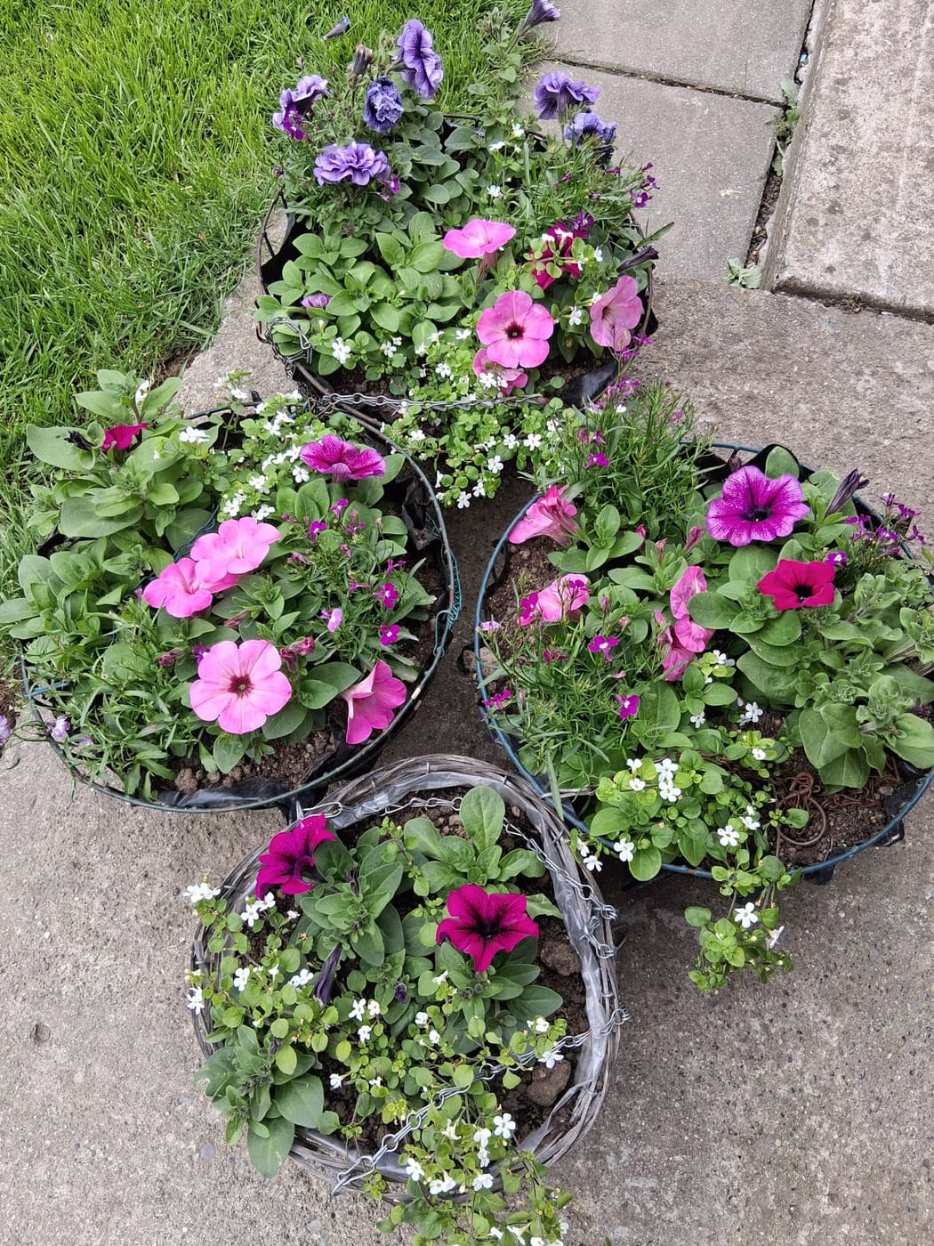 Gardening with Deirdre Crofts