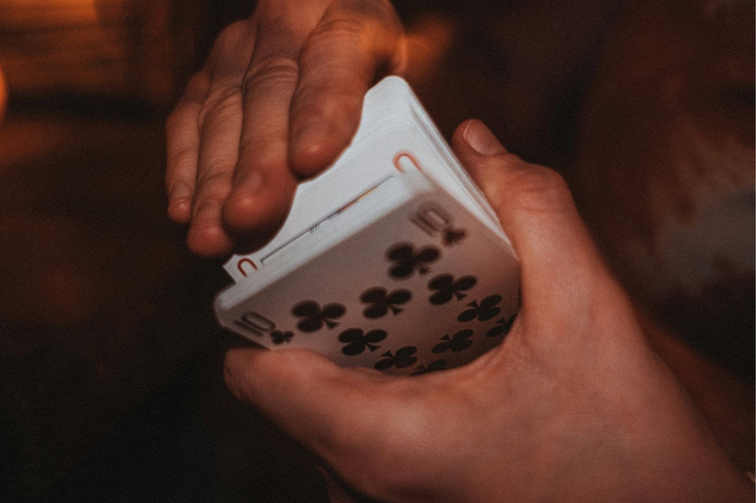 Bridge Beginners